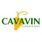 Cavavin Rennes